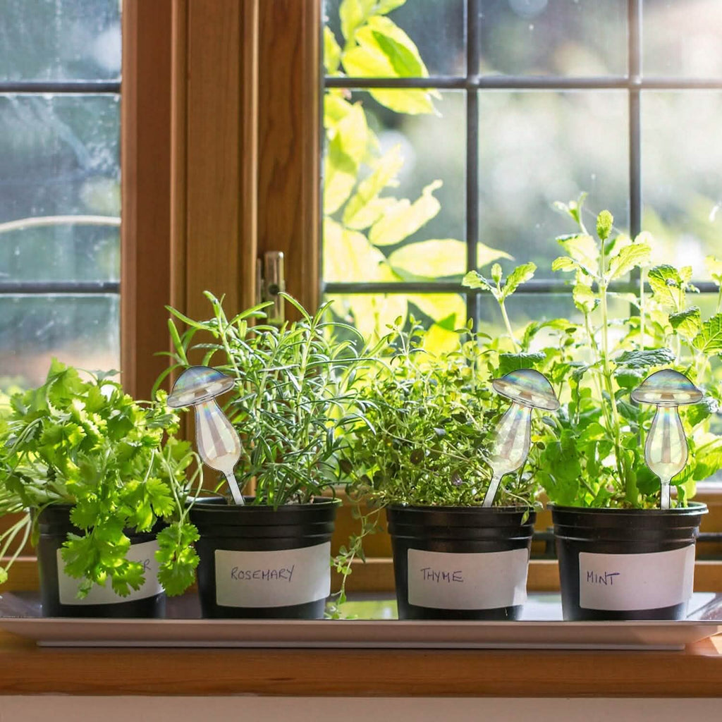 4 pièces : Arrosoirs à plantes en verre transparent Champignon irisé dégradé arc-en-ciel