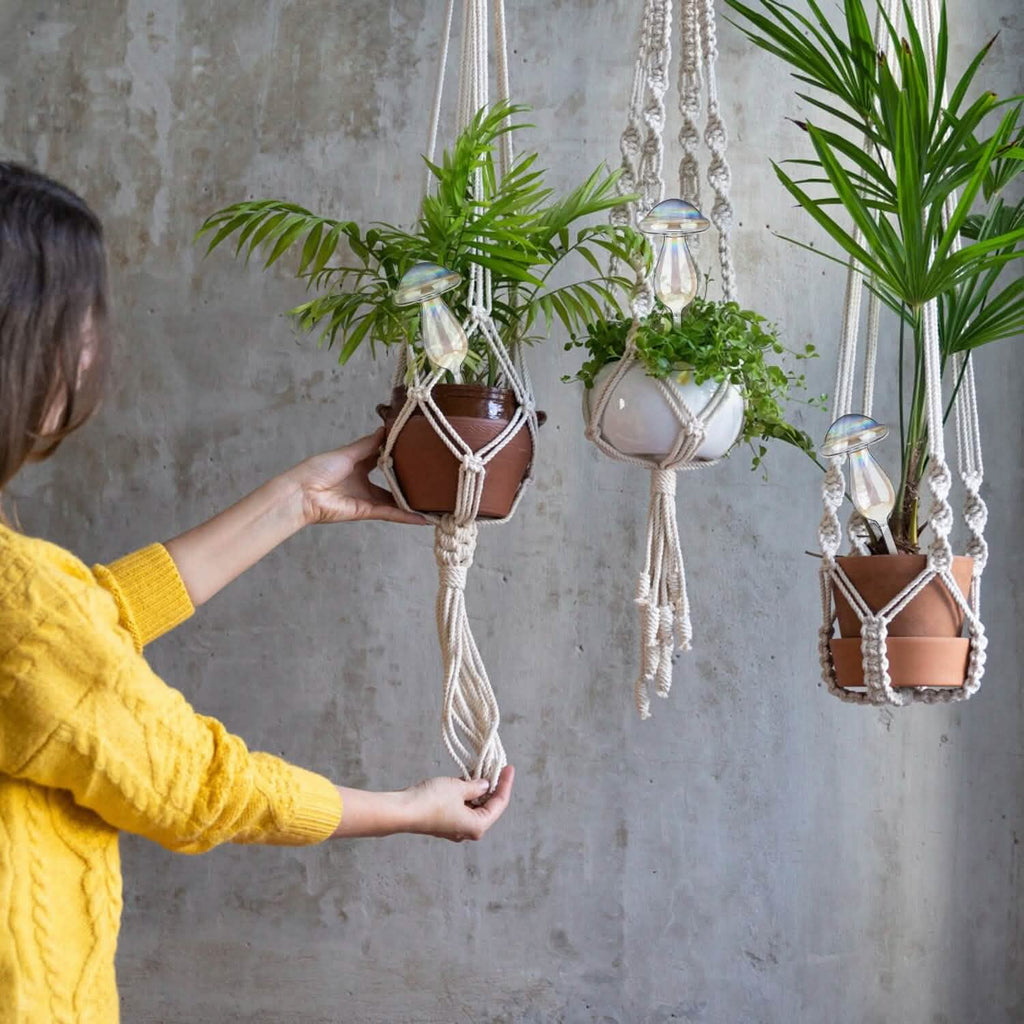 4 pièces : Arrosoirs à plantes en verre transparent Champignon irisé dégradé arc-en-ciel