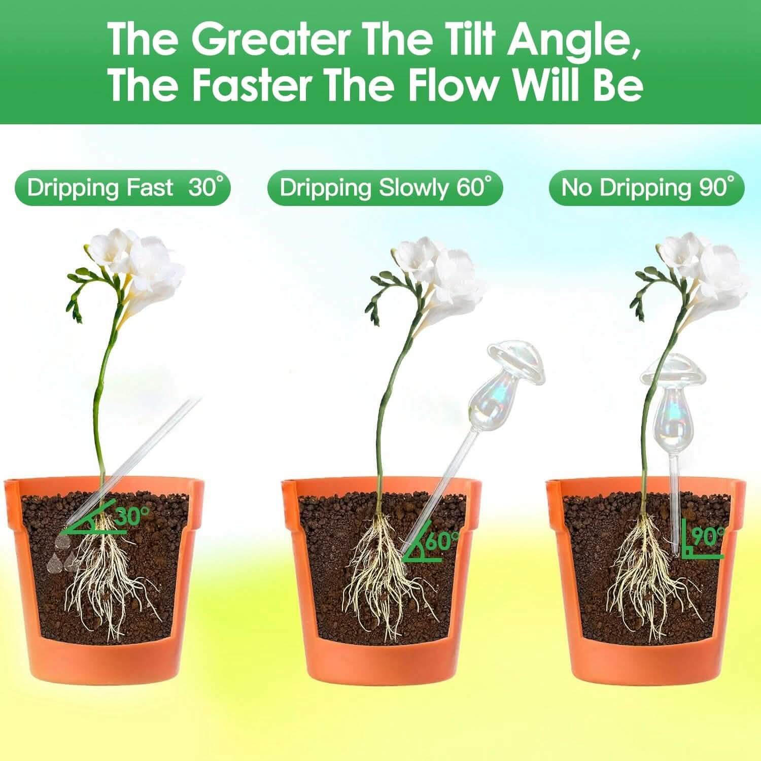 4 pièces : Arrosoirs à plantes en verre transparent Champignon irisé dégradé arc-en-ciel