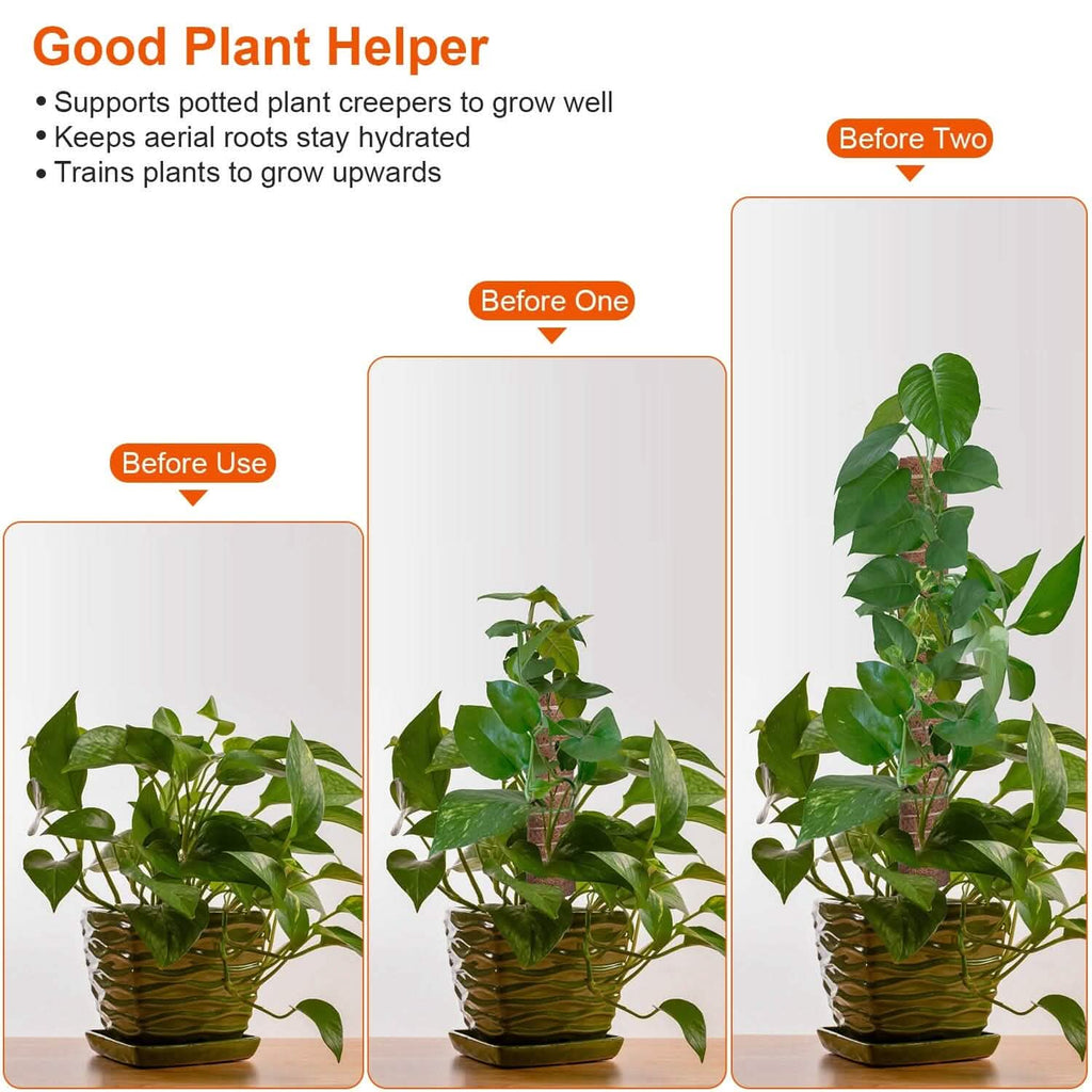 4 pièces : Tuteur en fibre de coco extensible pour plantes grimpantes