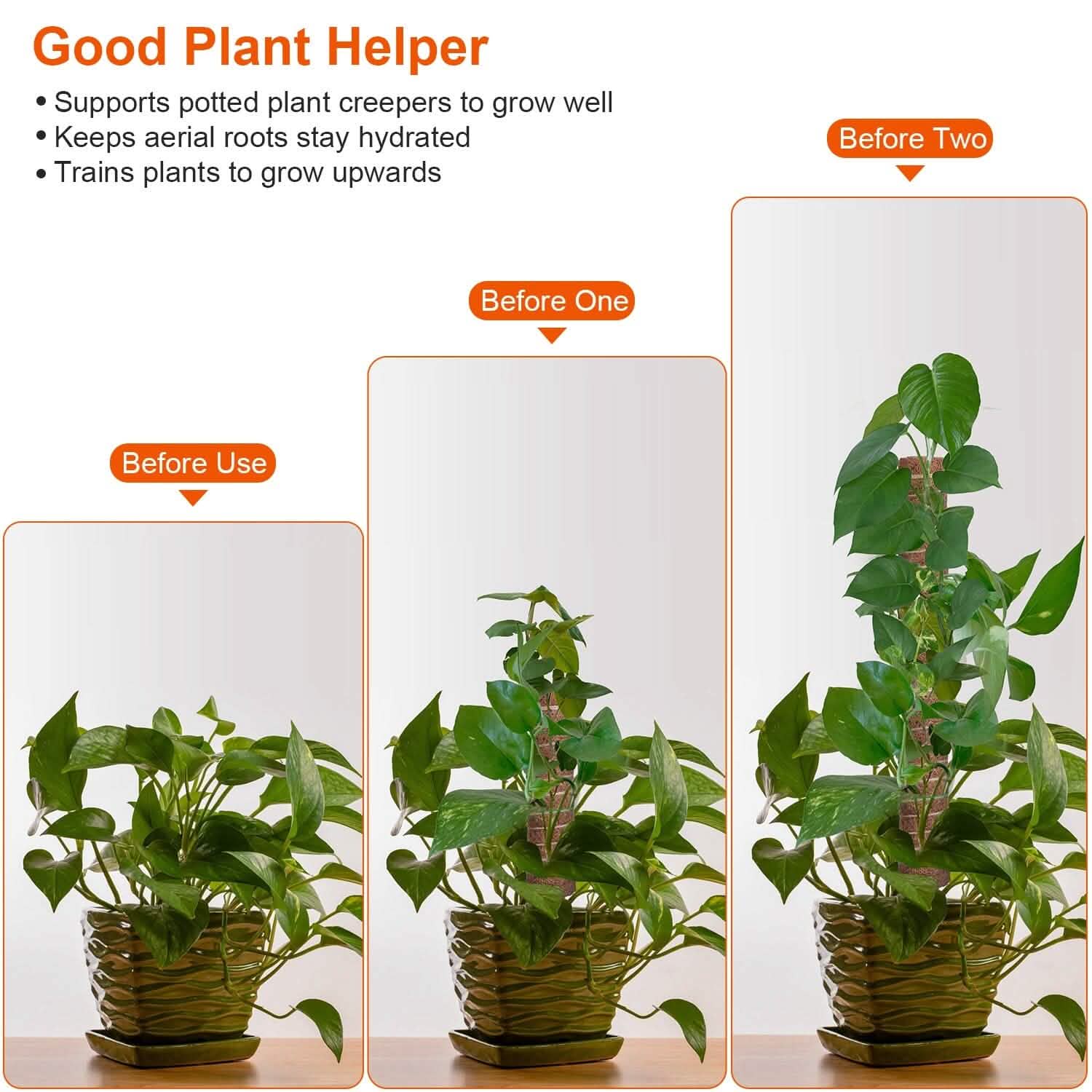 4 pièces : Tuteur en fibre de coco extensible pour plantes grimpantes