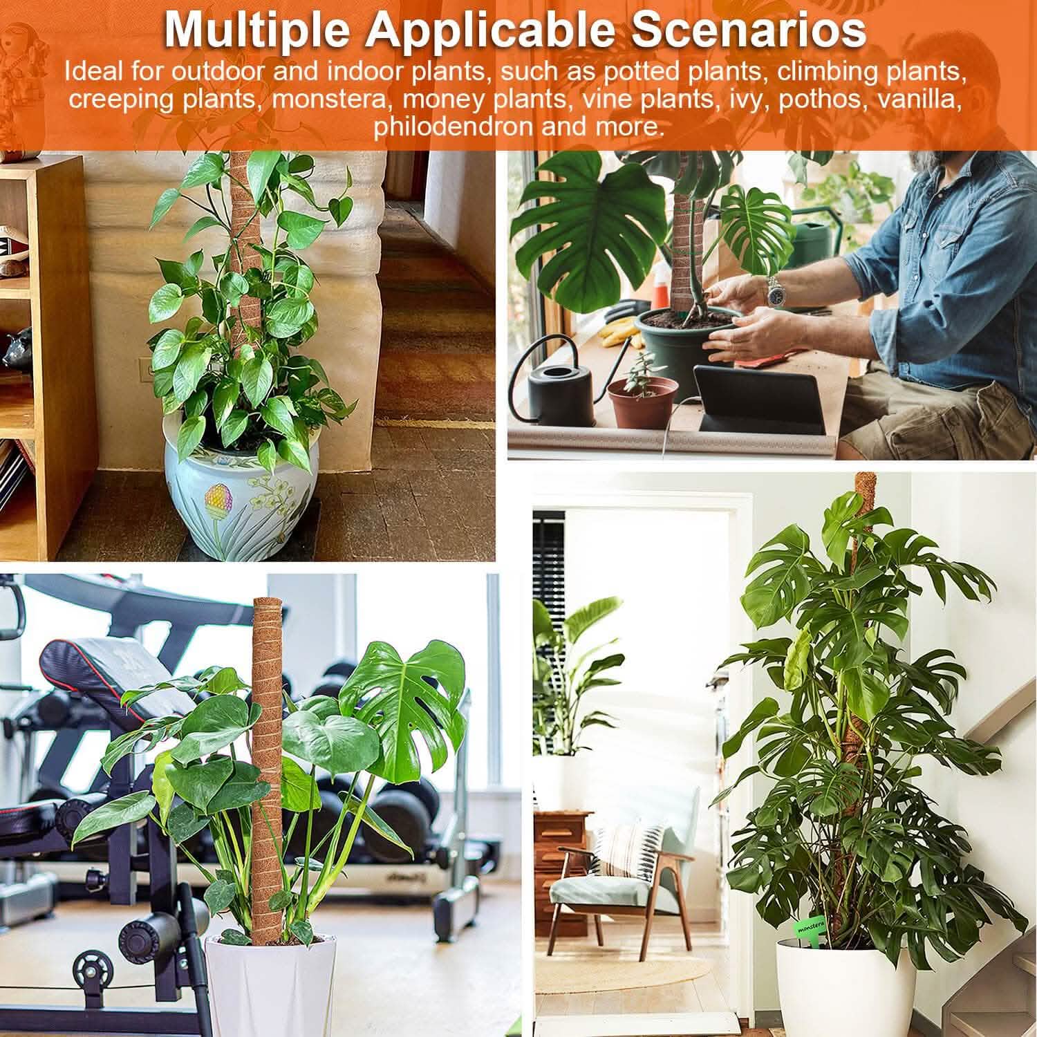 4 pièces : Tuteur en fibre de coco extensible pour plantes grimpantes