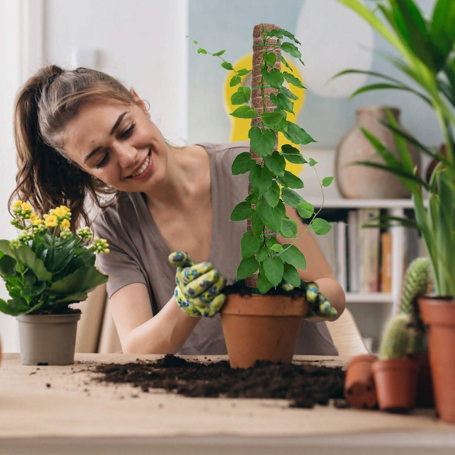 4 pièces : Tuteur en fibre de coco extensible pour plantes grimpantes