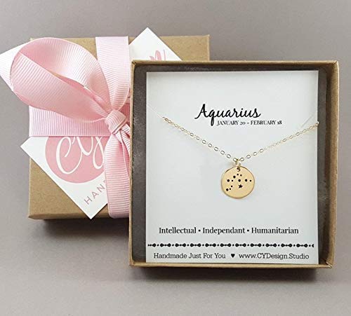 Collier Zodiaque Poissons – Pendentif Constellation en Argent Sterling sur Chaîne de 45 cm, Bijou Astrologique Cadeau