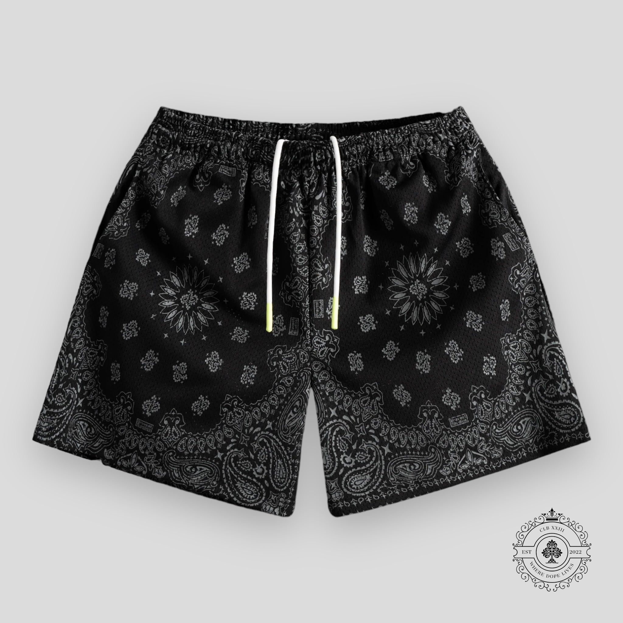 Shorts Bravest Studios Carbon Paisley