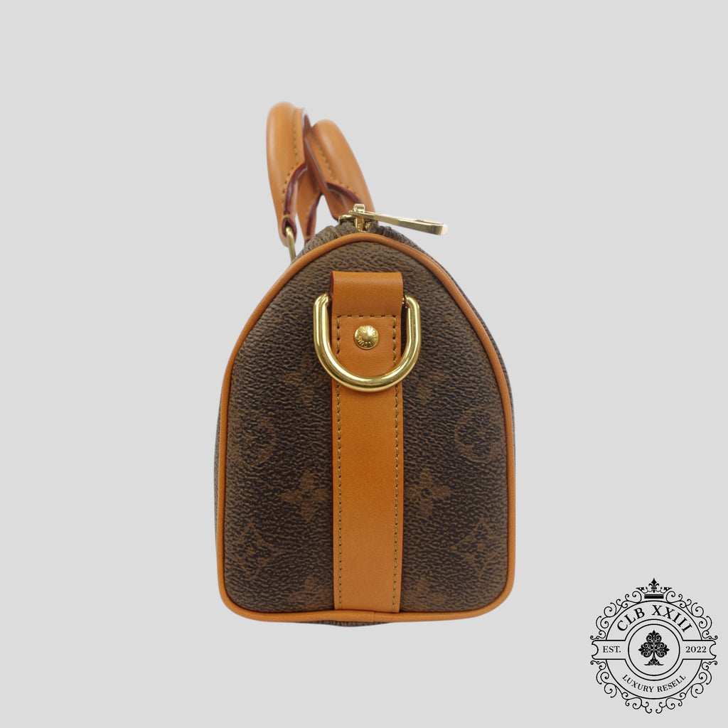 Louis Vuitton Monogramme Poussière Keepall 25