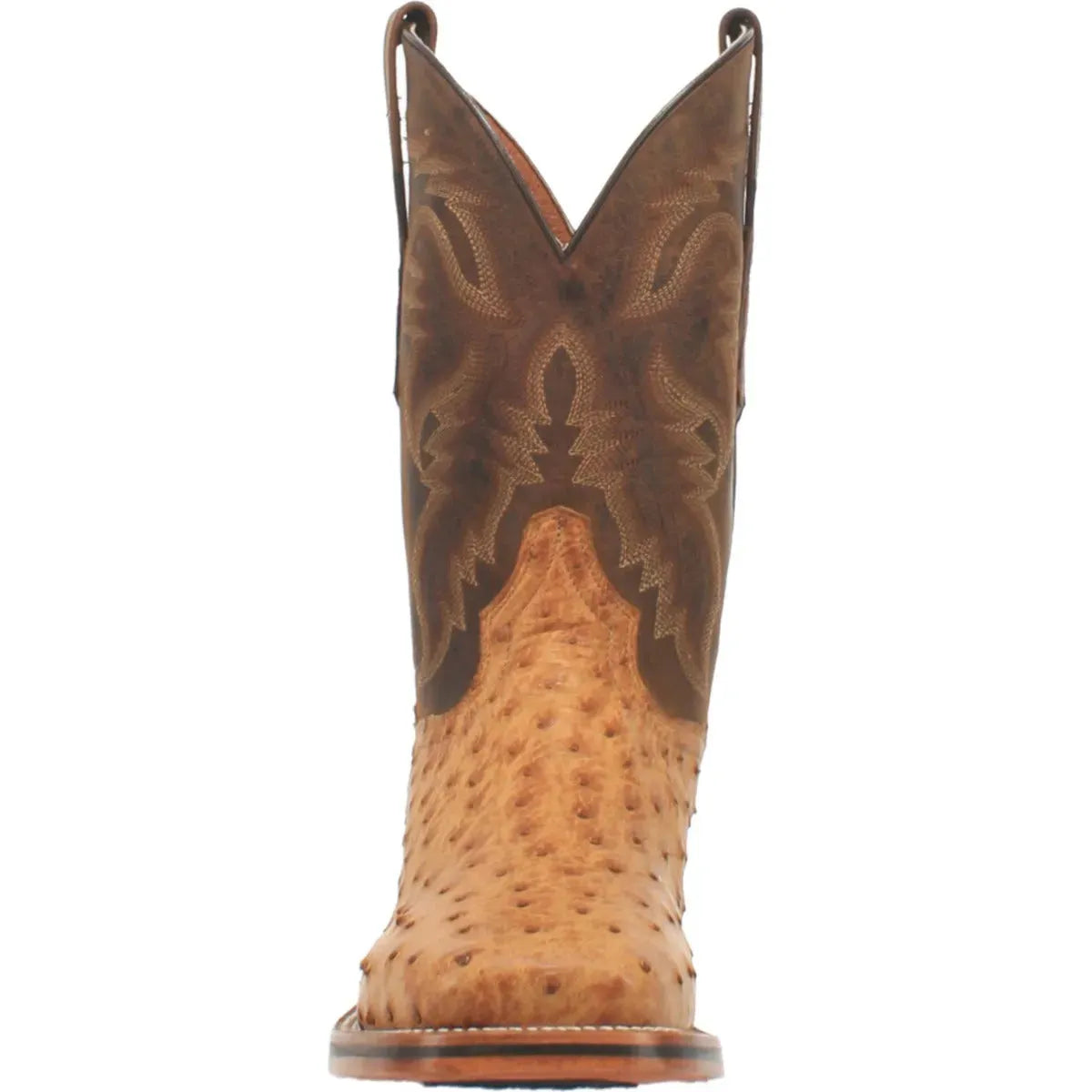 Bottes de Cowboy en Cuir d'Autruche Dan Post Kershaw pour Hommes