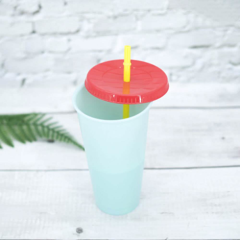 Lot de 5 : Gobelet coloré avec couvercle et paille