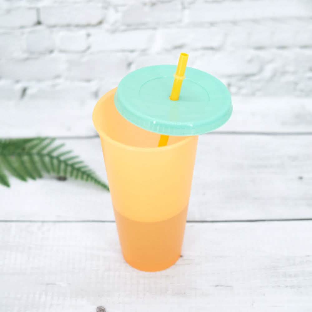 Lot de 5 : Gobelet coloré avec couvercle et paille