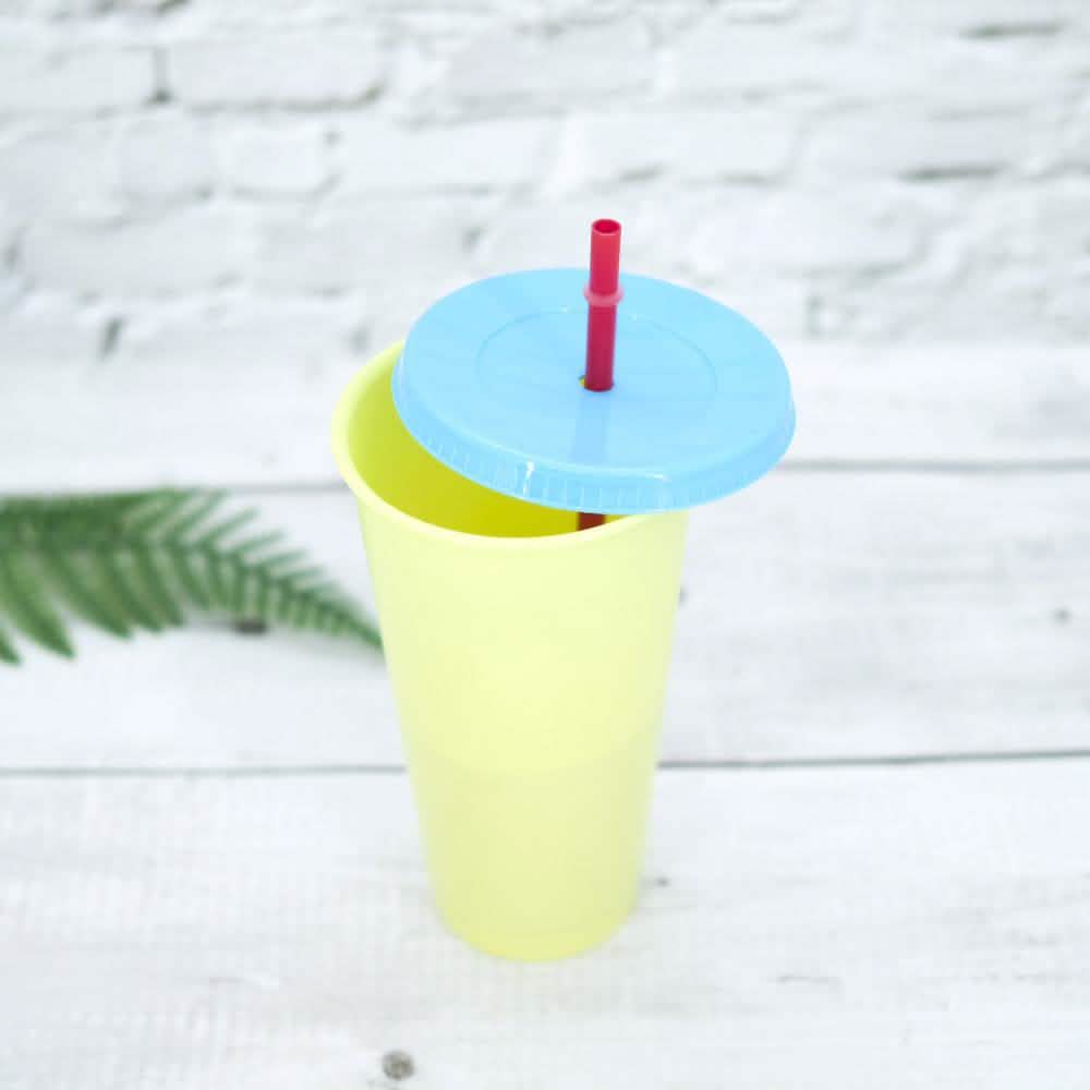 Lot de 5 : Gobelet coloré avec couvercle et paille