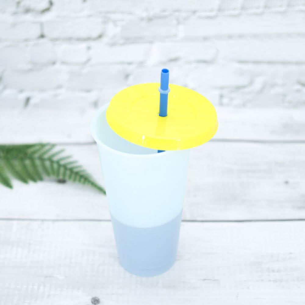 Lot de 5 : Gobelet coloré avec couvercle et paille
