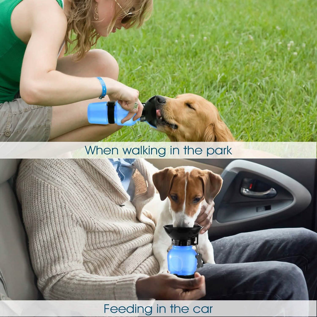 Bouteille d'eau portable de 500 ml pour animaux de compagnie