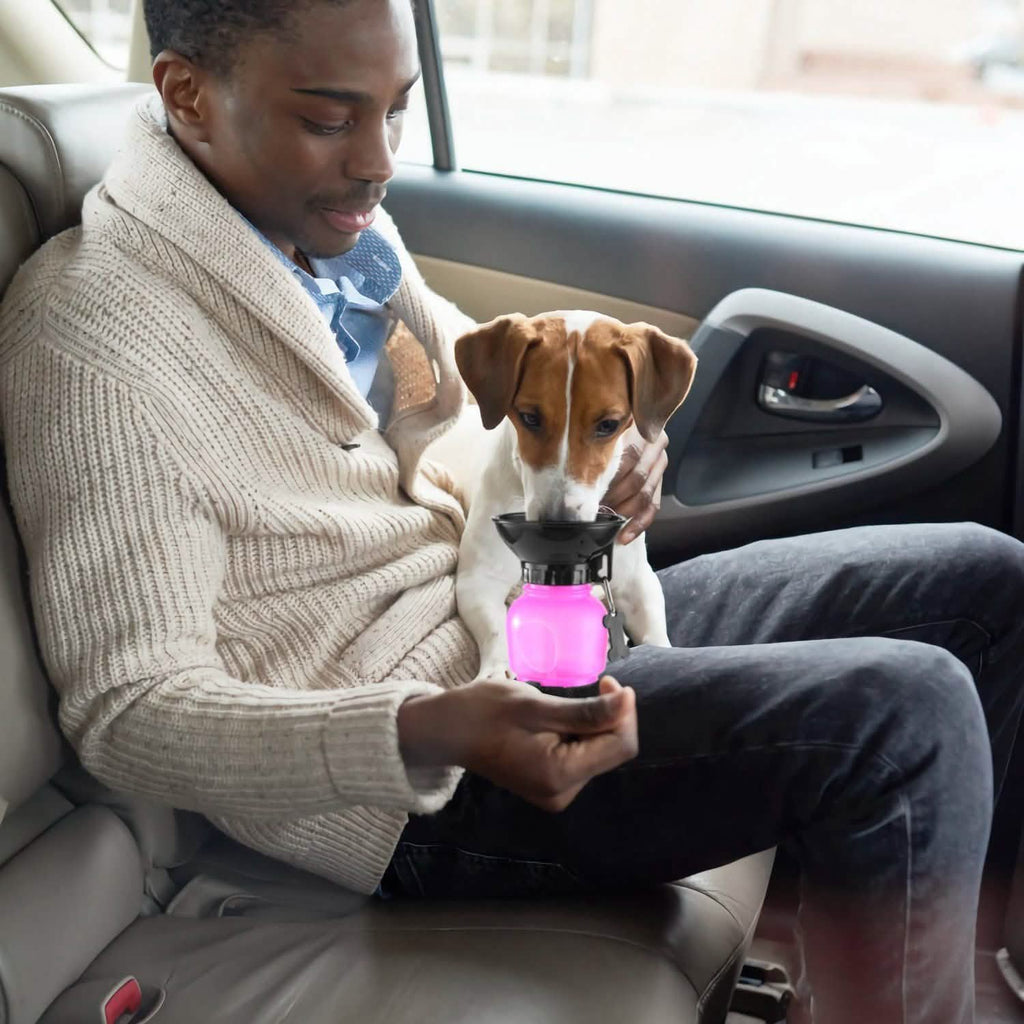 Bouteille d'eau portable de 500 ml pour animaux de compagnie