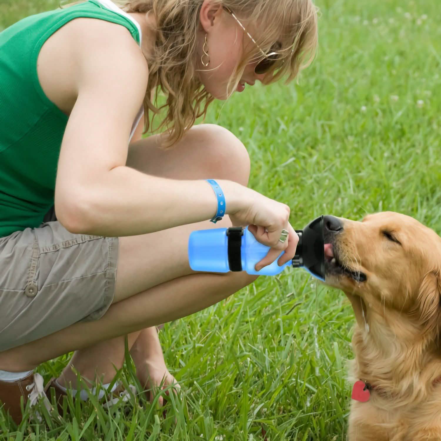 Bouteille d'eau portable de 500 ml pour animaux de compagnie