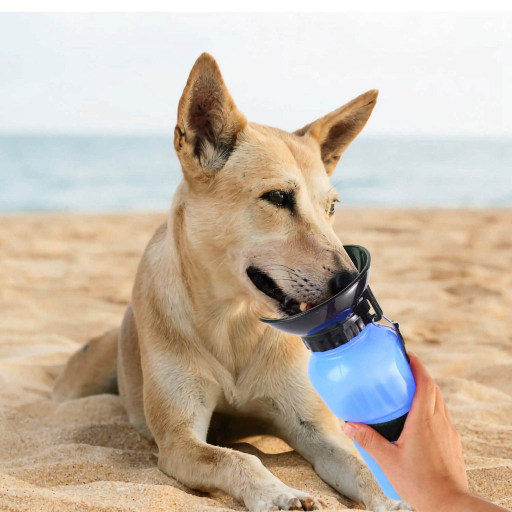 Bouteille d'eau portable de 500 ml pour animaux de compagnie