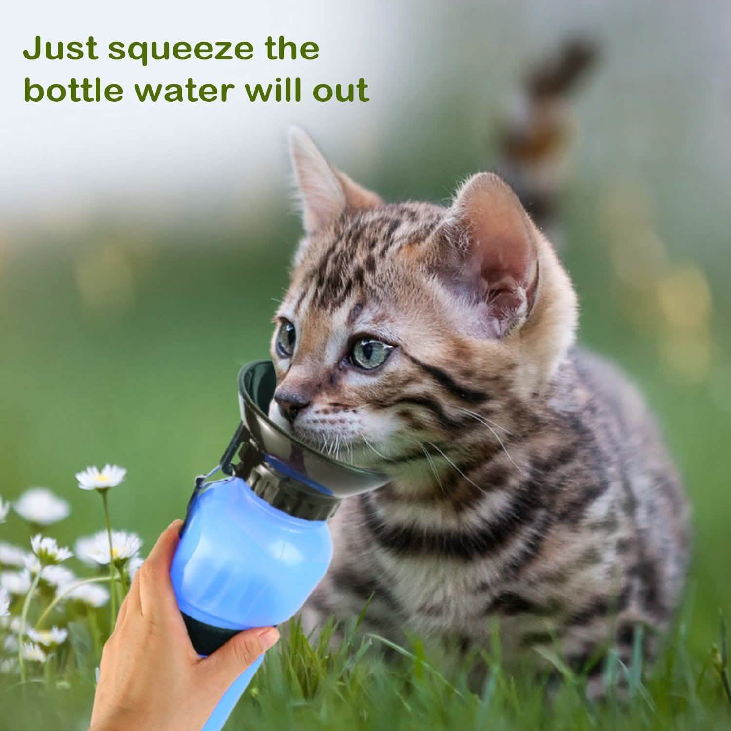 Bouteille d'eau portable de 500 ml pour animaux de compagnie