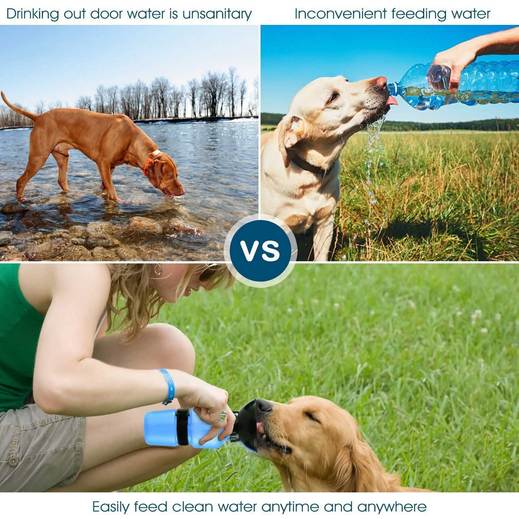 Bouteille d'eau portable de 500 ml pour animaux de compagnie