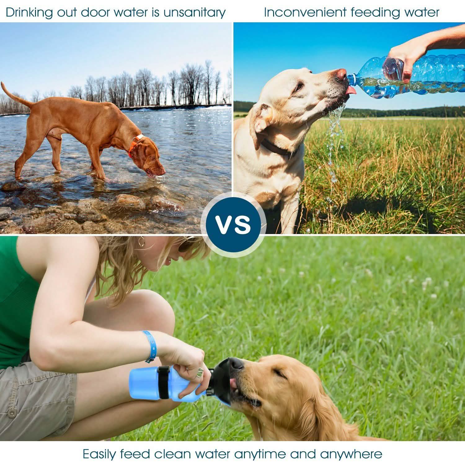 Bouteille d'eau portable de 500 ml pour animaux de compagnie