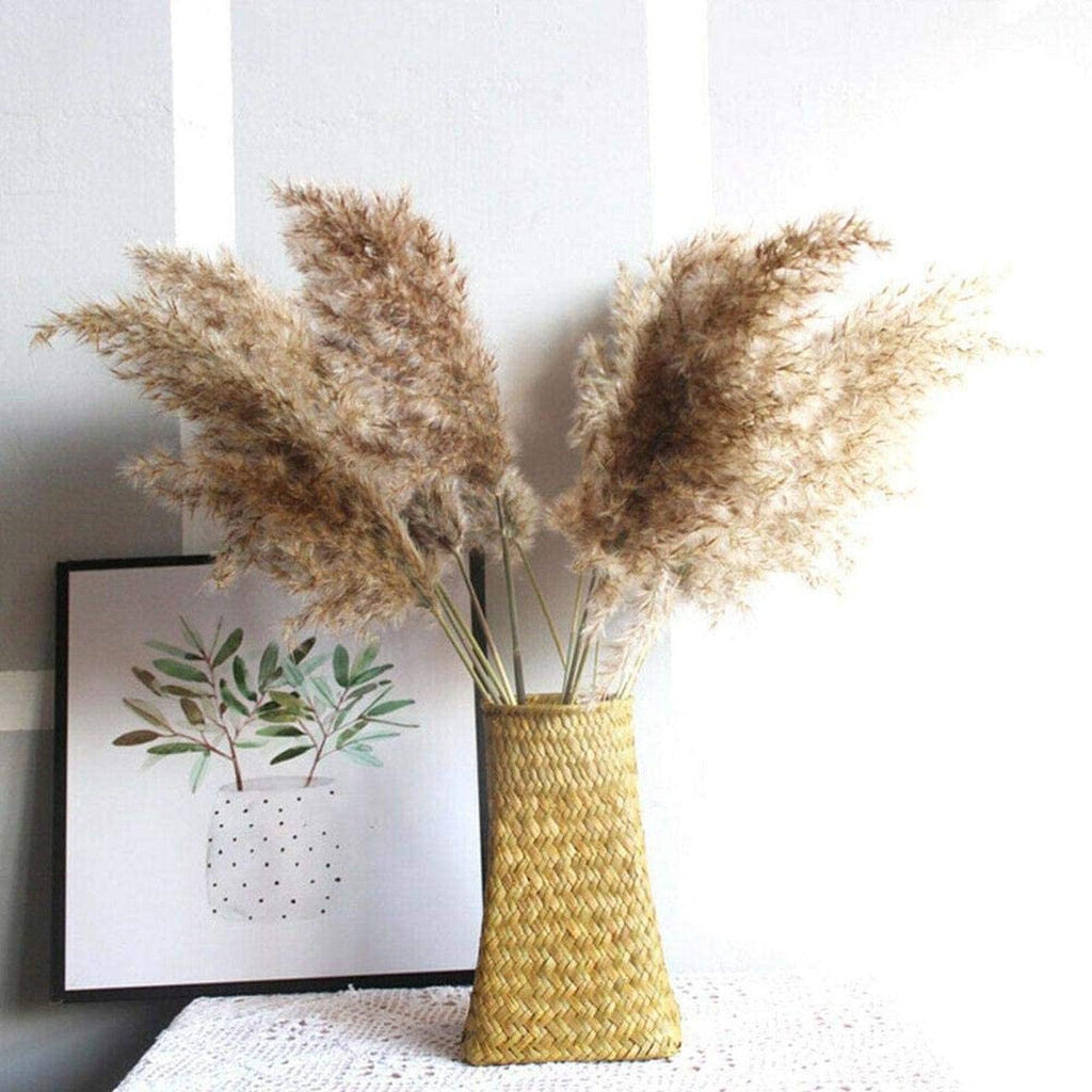 50 Pièces/Paquet 50cm Fleurs de Roseau Naturelles Jonc Bouquet Grande Herbe de la Pampa Séchée Décoration de Mariage Décor d'Automne pour la Maison