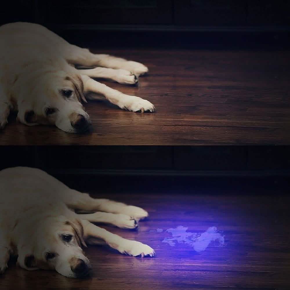 51 LED UV Lumière Noire