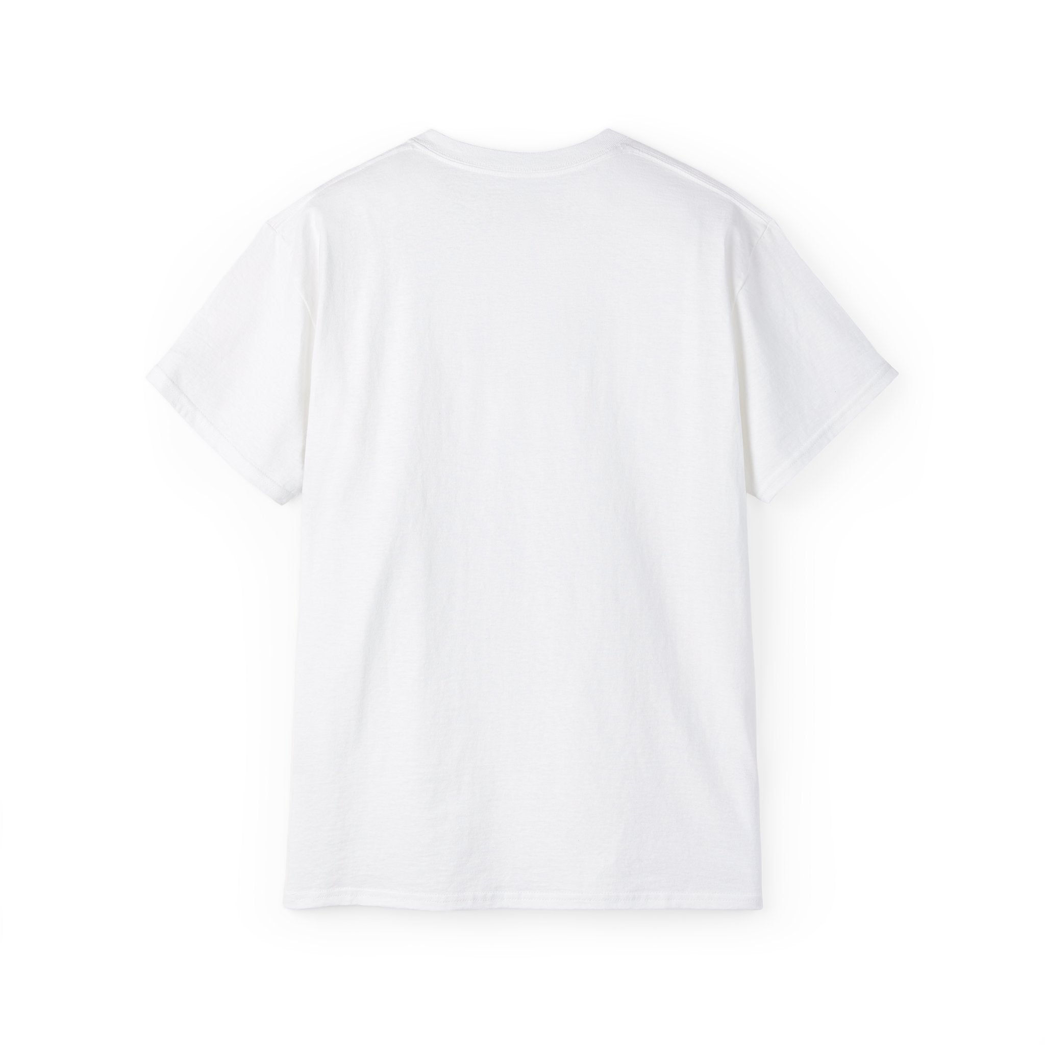 TEE-SHIRT RYAN GARCIA v. DEVIN HANEY | GRAPHISME KNOCKDOWN DE L'ANNÉE | 4 COULEURS