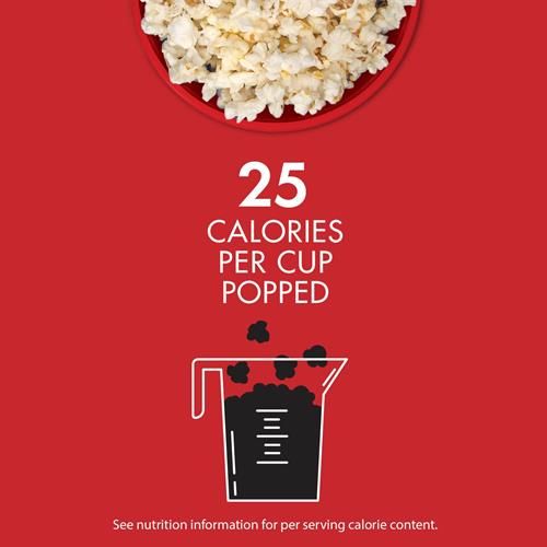 Mini-sacs de maïs soufflé à micro-ondes Orville Redenbacher's Skinnygirl, saveur beurre et sel de mer, 1,5 oz, paquet de 10
