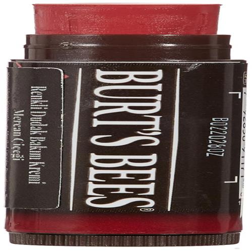 Burts Bees, Baume à Lèvres Teinté Daisy, 4.25 g