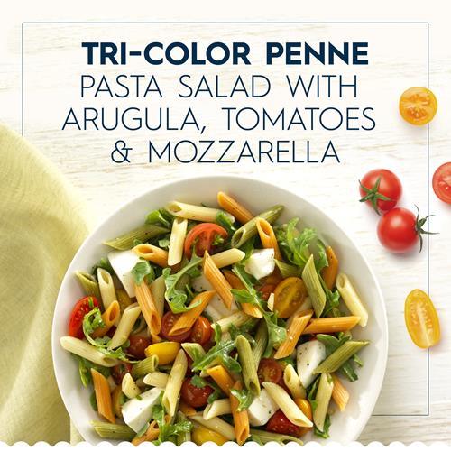 Pâtes Penne Tricolores Barilla, boîte de 340 g – Pâtes sans OGM fabriquées avec de la semoule de blé dur – Pâtes certifiées casher