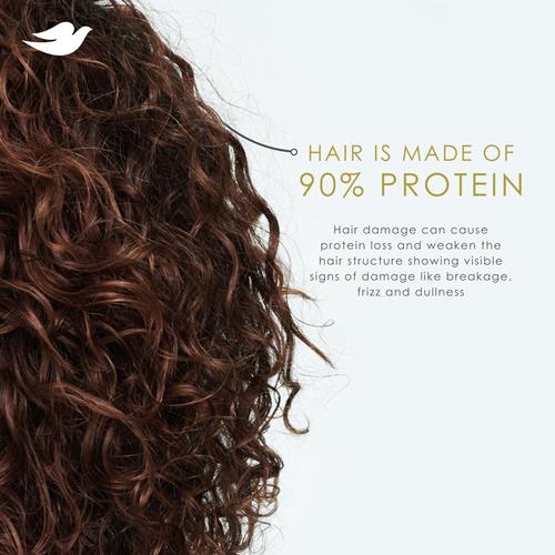 Shampooing et revitalisant Dove Noix de Coco & Hydratation, lot de 2, pour cheveux secs avec la technologie Bio-Protein Care et de l'huile de noix de coco, 355 ml
