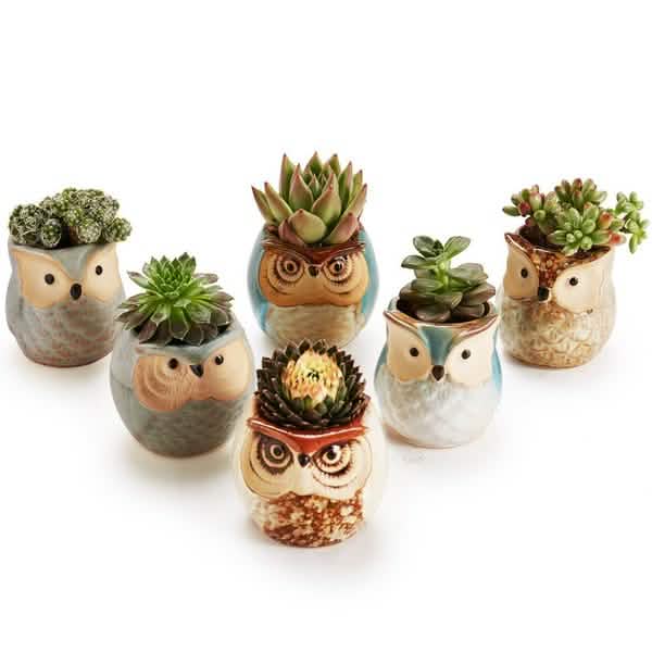 Lot de 6 : base en céramique pour pot en forme de chouette de 6,3 cm