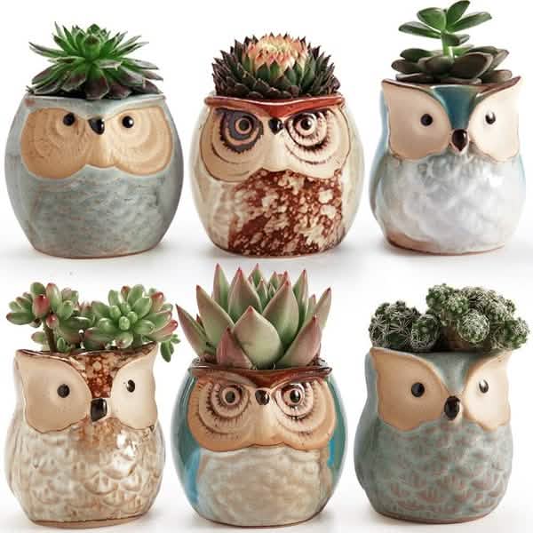 Lot de 6 : base en céramique pour pot en forme de chouette de 6,3 cm