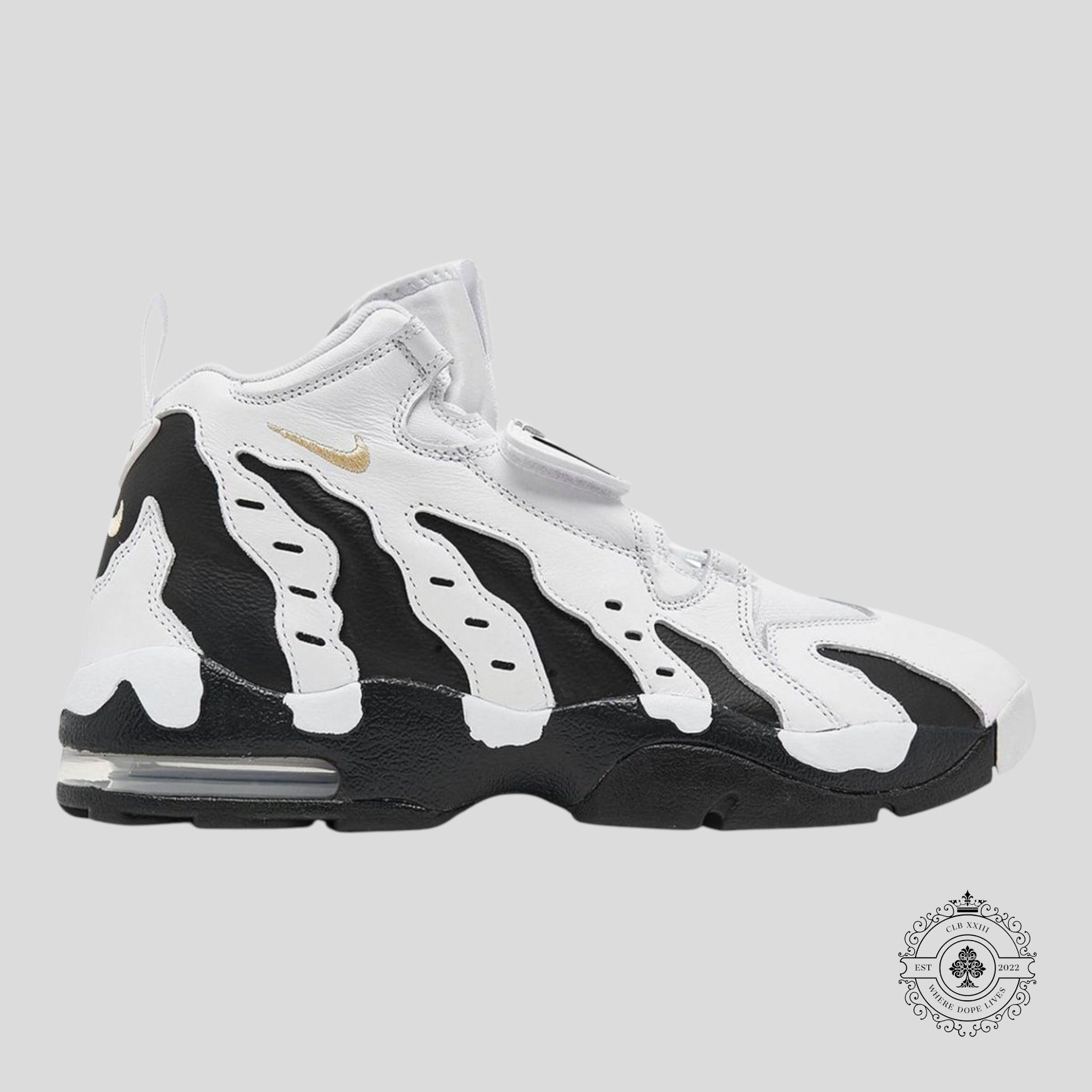 Nike Air DT Max '96 Colorado Extérieur Blanc Noir