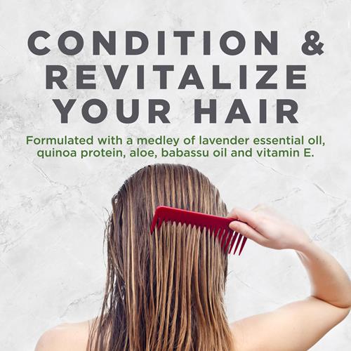 Après-shampooing revitalisant à la lavande Avalon Organics, pour des cheveux lisses, brillants, doux au toucher, pour cheveux normaux à secs, 325 ml