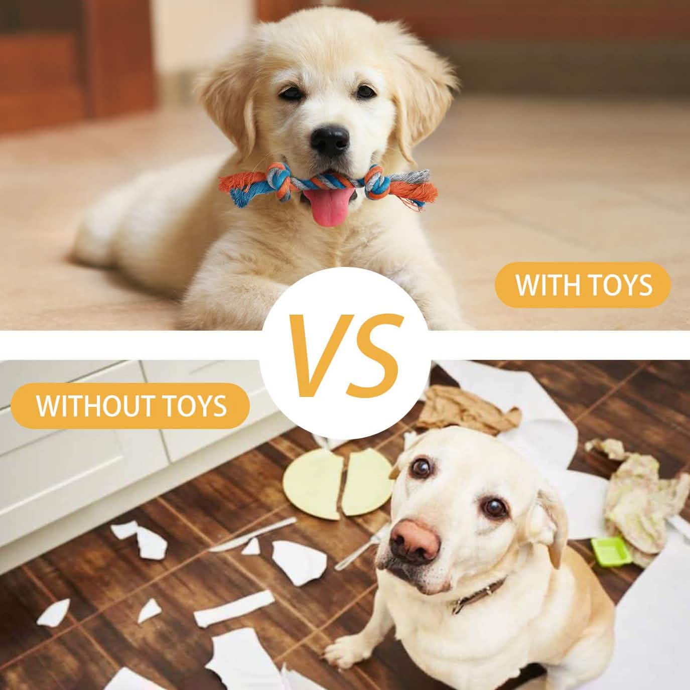 7 Pièces : Jouets à Mâcher Corde Chiot