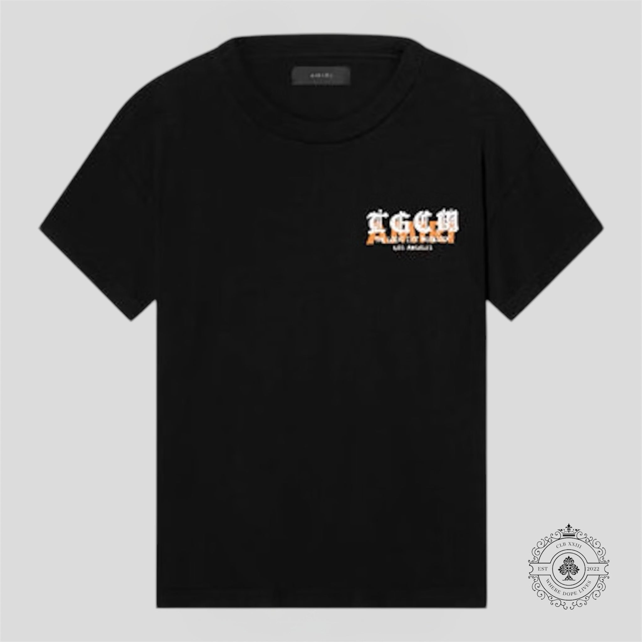 T-shirt AMIRI TGCW noir