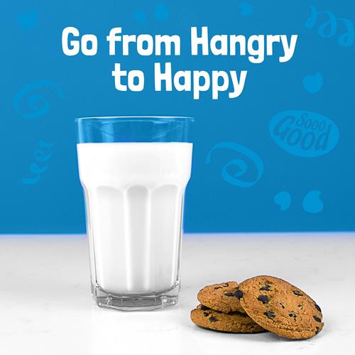 Chips Ahoy! Biscuits aux pépites de chocolat, format familial, 516 g