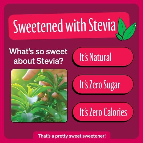 Zevia Soda Zéro Sucre, Dr. Zevia, Canettes de 355 ml (Paquet de 12)