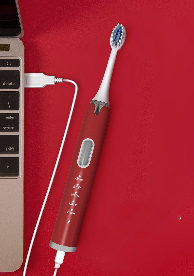 Brosse à dents électrique ultrasonique sonique vibrante rechargeable pour adultes, blanchissante, rechargeable par USB, pour hommes et femmes