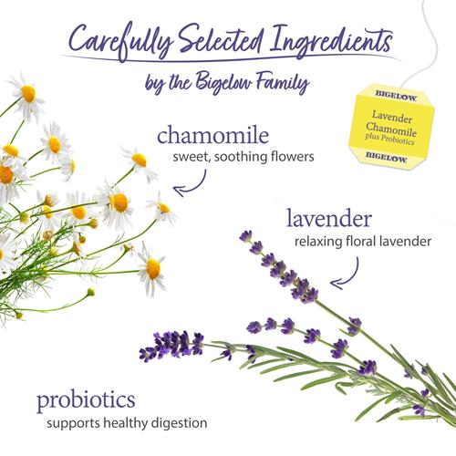 Sachets de tisane Bigelow Lavande Camomille et Probiotiques