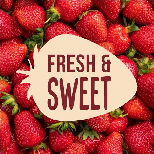 Confiture de fraises Kroger à presser 581 g