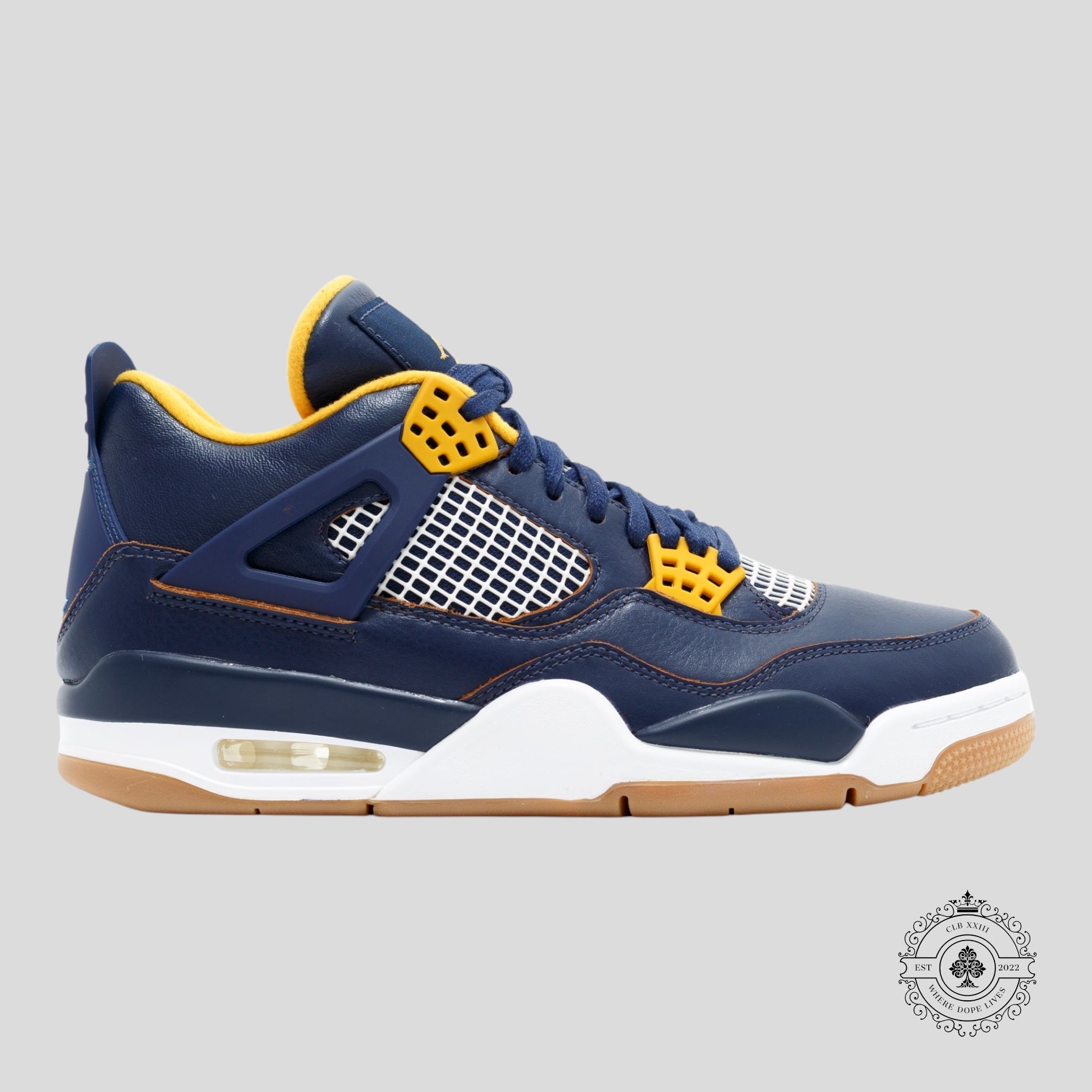 Air Jordan 4 Rétro Dunk From Above