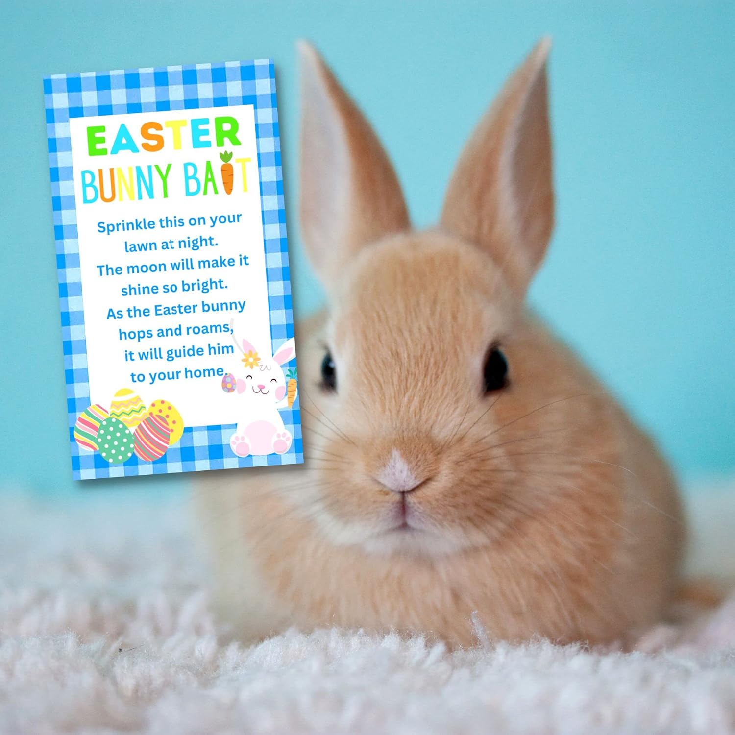 Sac cadeau d'appâts pour le lapin de Pâques