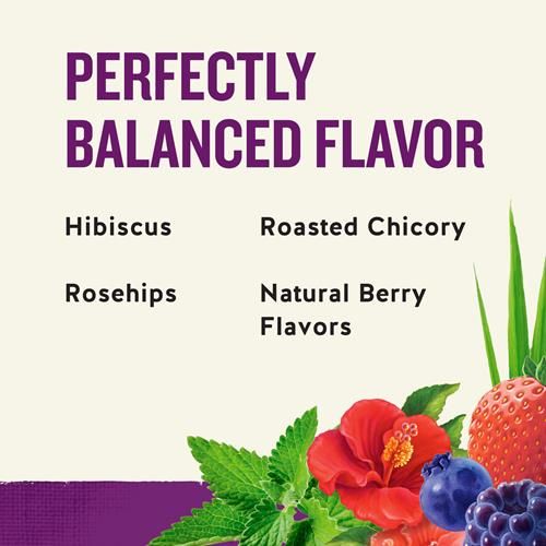 Tisane aux fruits rouges Celestial Seasonings Wild Berry Zinger, sans caféine, 20 sachets