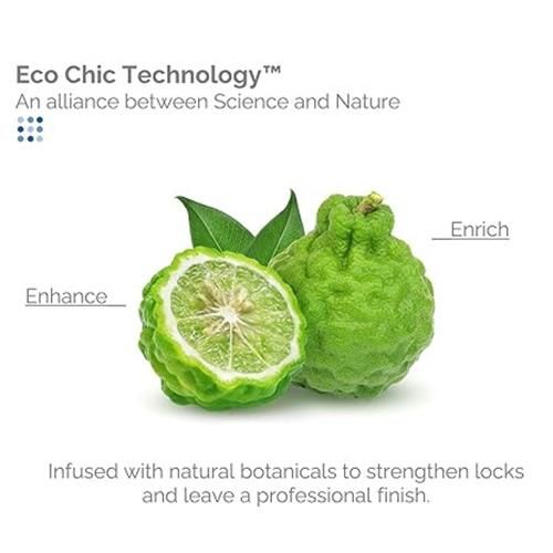 Giovanni Eco Chic Frizz Be Gone - Sérum capillaire anti-frisottis super lissant, ajoute de la brillance, fixe la couleur, infusé d'ingrédients botaniques naturels, qualité salon, sans parabènes - 2,75 oz (1 paquet) - Pa
