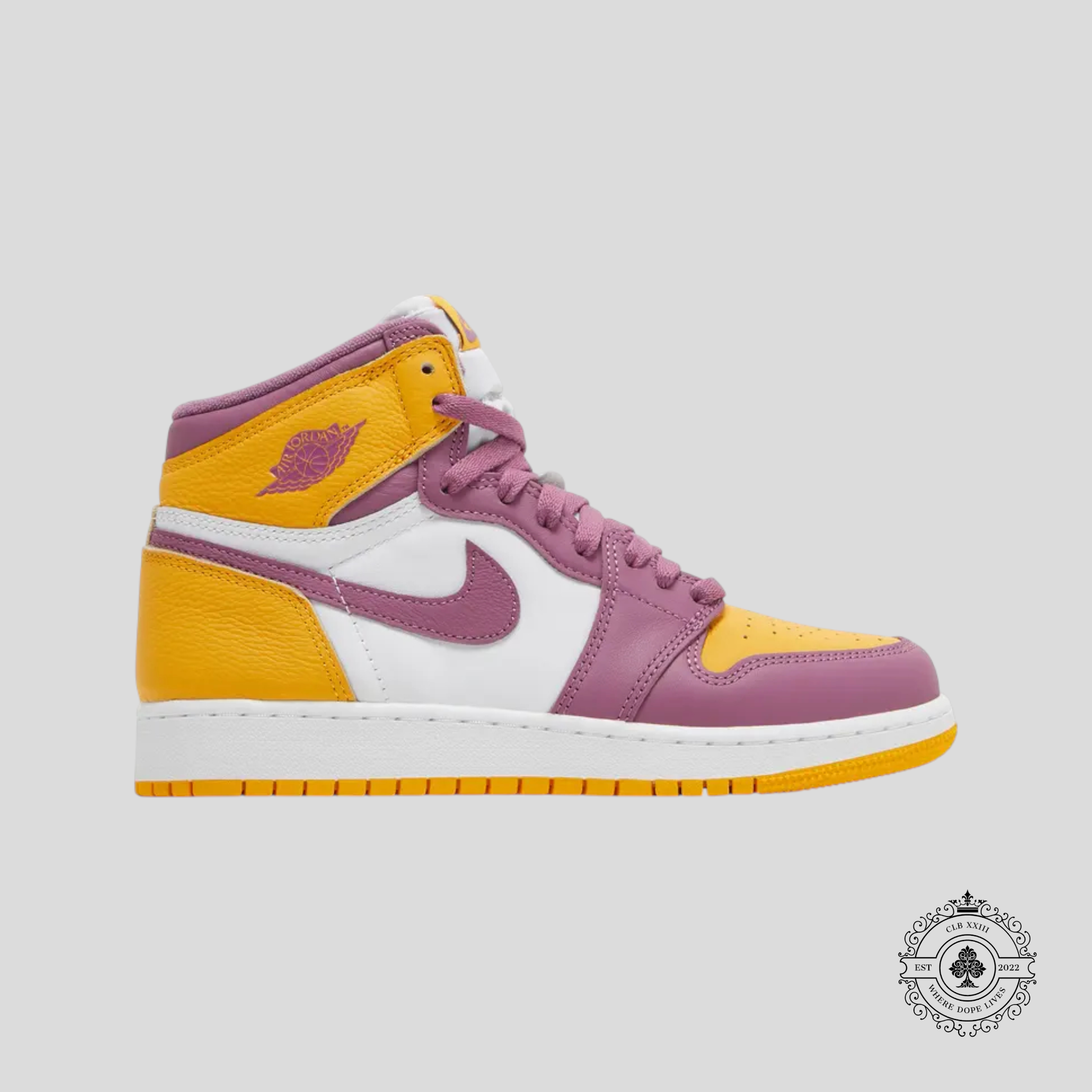 Air Jordan 1 Rétro High OG Brotherhood (GS)