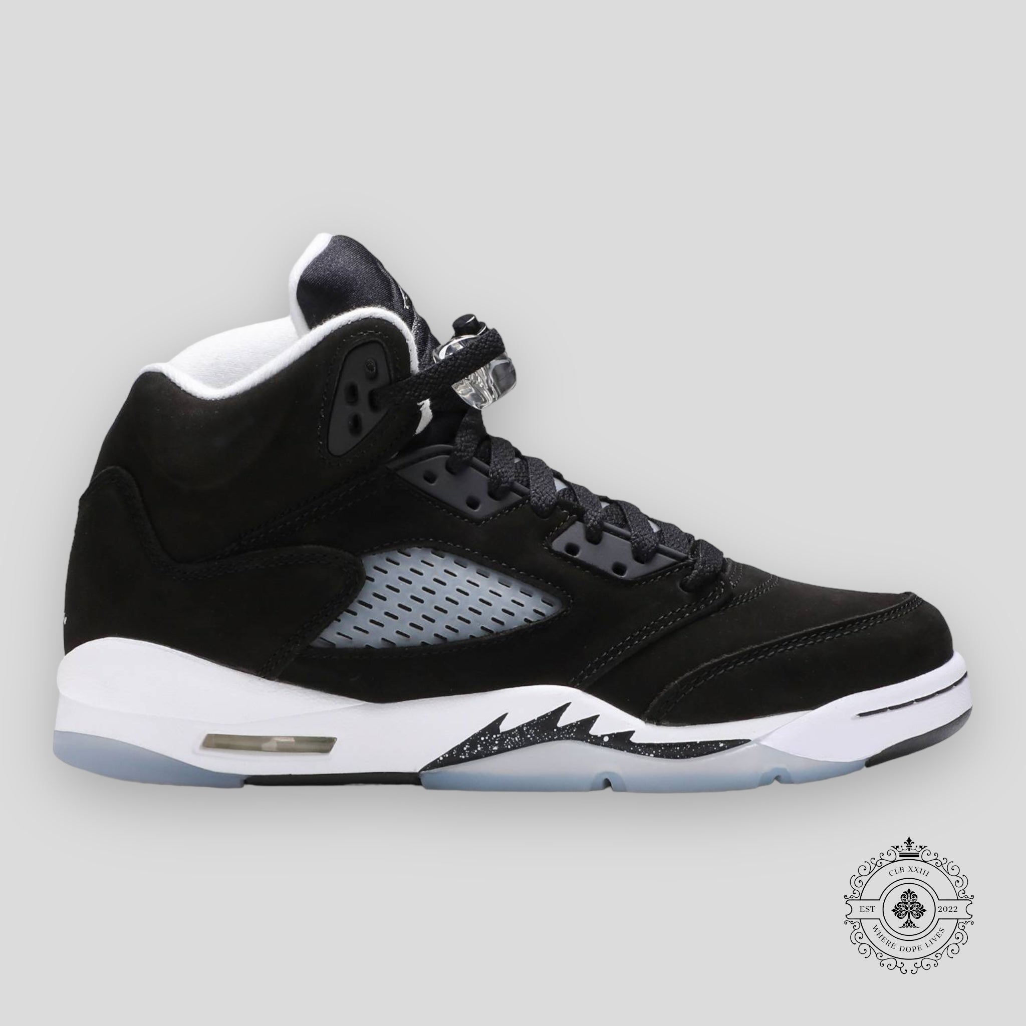 Air Jordan 5 Rétro GS Moonlight