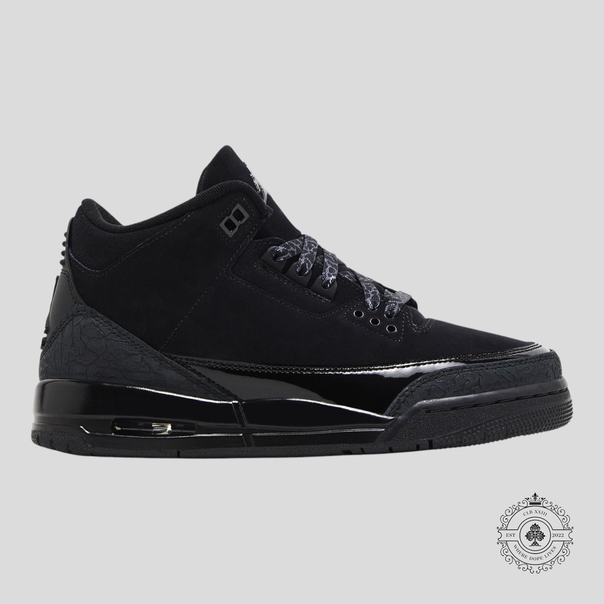 Air Jordan 3 Rétro Black Cat (2025)