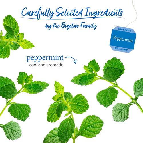 Tisane sans caféine à la menthe poivrée Bigelow, 20 sachets