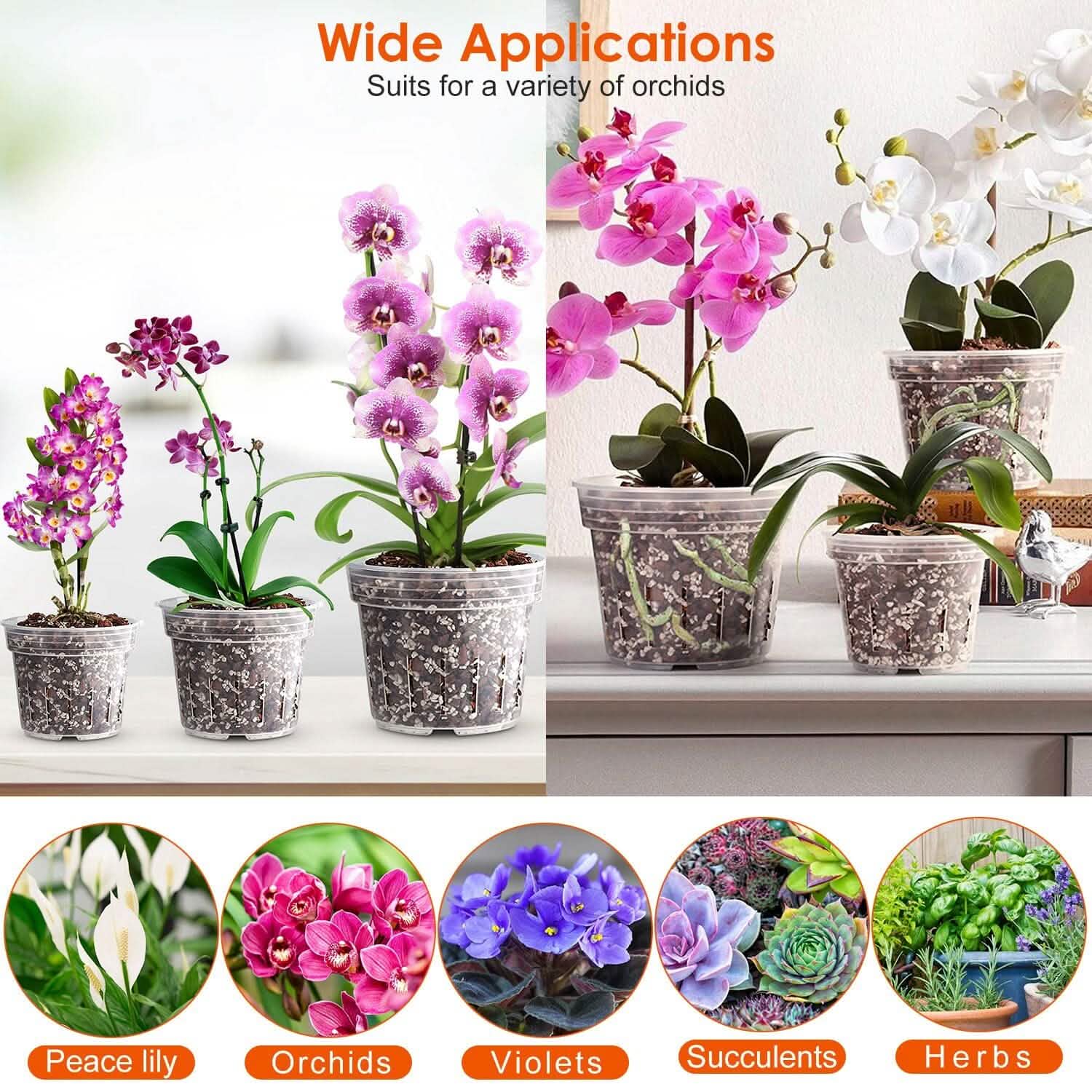 Lot de 9 : Pots d'orchidées transparents, réutilisables, en plastique, pour semis de fleurs