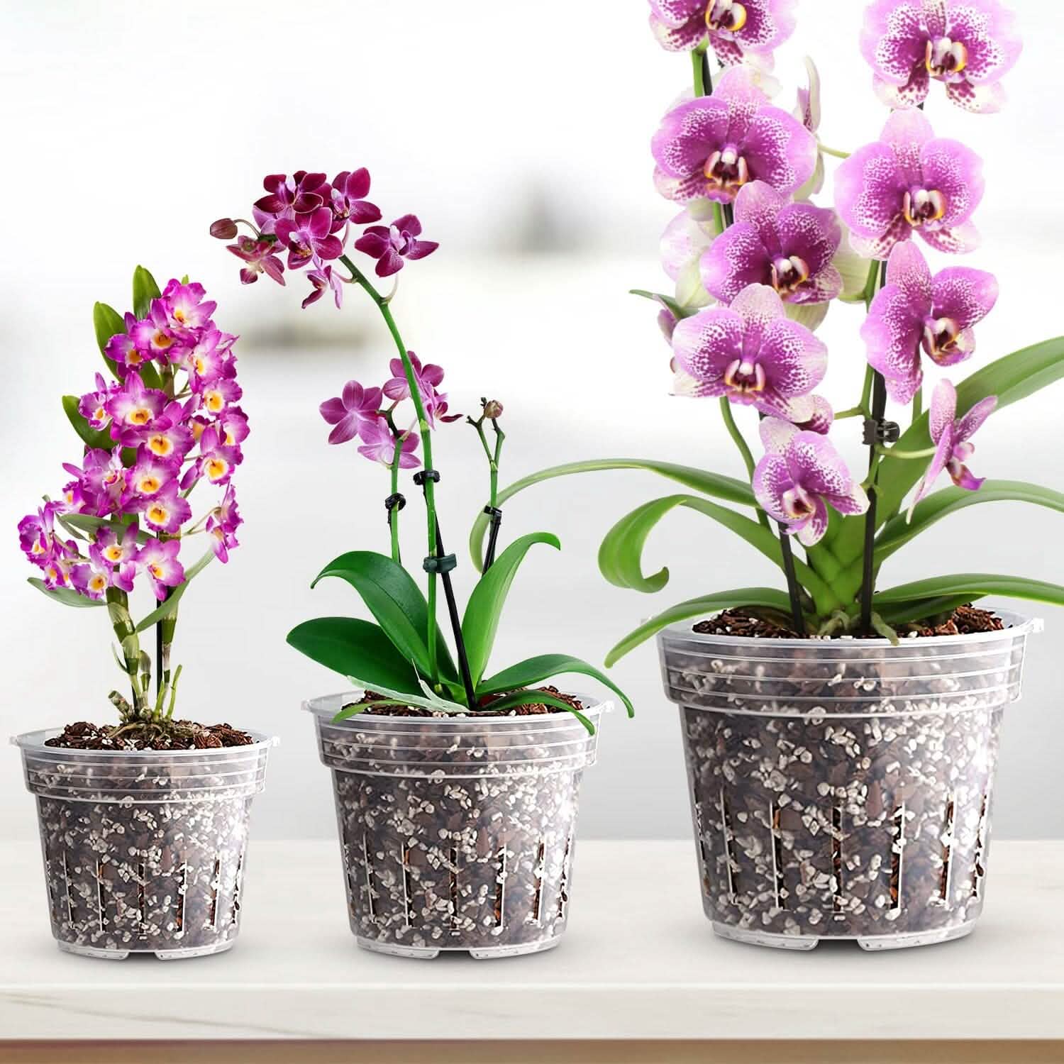 Lot de 9 : Pots d'orchidées transparents, réutilisables, en plastique, pour semis de fleurs